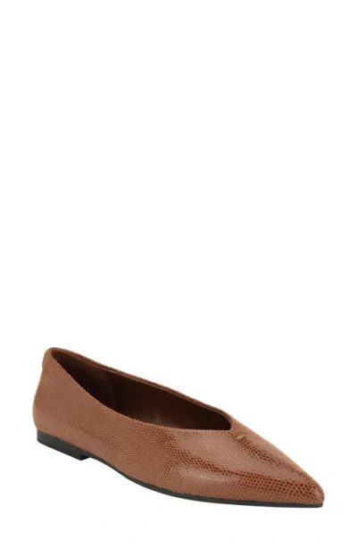Calvin Klein Gemeen Pointed Toe Flat In Dark Natural 120