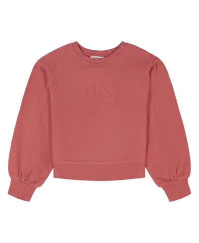 Calvin Klein Kids' Girls 7-16 Crewneck Raglan Sleeve Sweatshirt In Pink