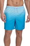 Calvin Klein Graphite Stripe Core Volley Swim Trunks In Blue