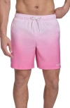 Calvin Klein Graphite Stripe Core Volley Swim Trunks In Hot Pink