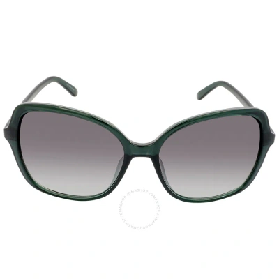 Calvin Klein Grey Gradient Butterfly Ladies Sunglasses Ck19561s 360 57 In Emerald / Grey