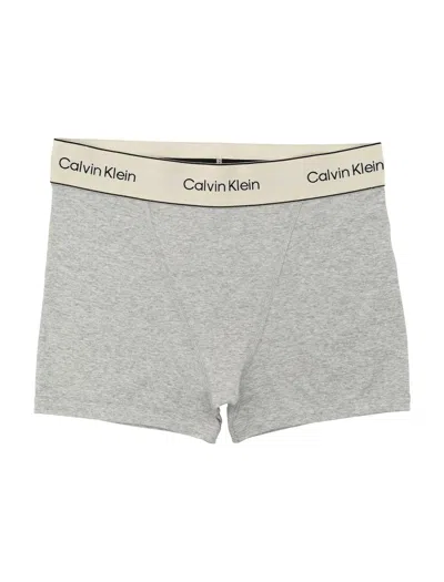 Calvin Klein Heritage Cotton Stretch Boxer Briefs In Gray