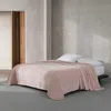 Calvin Klein Home Core Plush Blanket