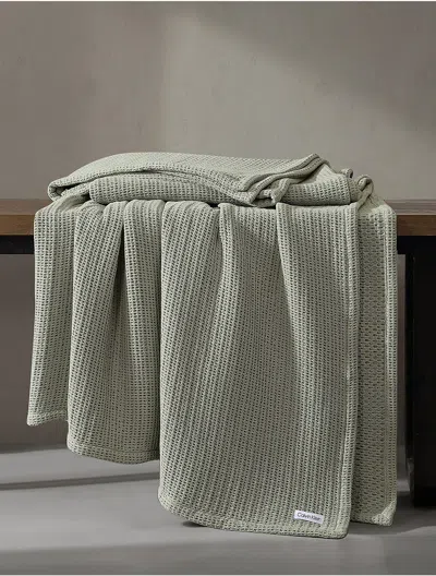 Calvin Klein Honeycomb Cotton Blanket In Sage Green