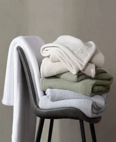 Calvin Klein Honeycomb Cotton Blanket In Multi