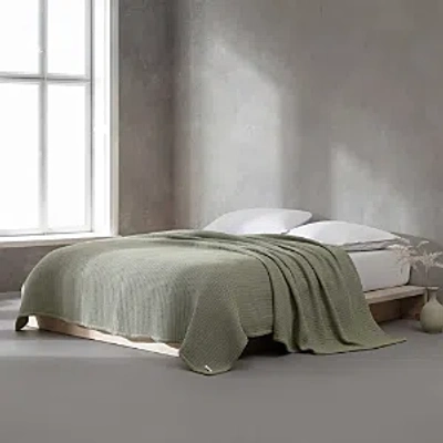 Calvin Klein Honeycomb Cotton Blanket, Queen In Sage Green