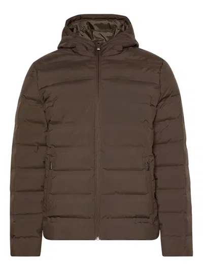 Calvin Klein Hooded Puffer Jacket In Brown