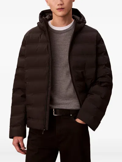 Calvin Klein Hooded Quilted Jacket In Brown