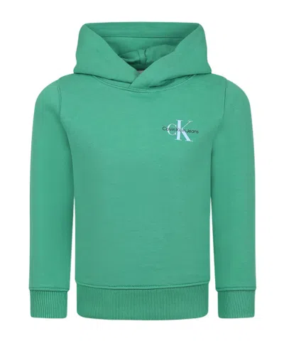 Calvin Klein Hooded Sweatshirt In Green