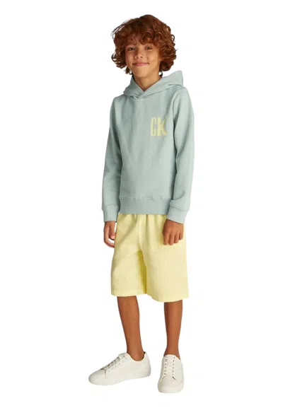 Calvin Klein Kids' Hoodie Baby Unisex  In Green