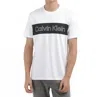 Calvin Klein Iconic Block Logo T-shirt In White In White