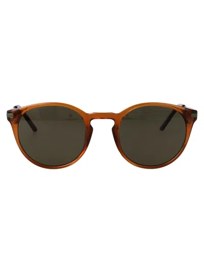 CALVIN KLEIN JEANS EST.1978 CALVIN KLEIN JEANS CRYSTAL HONEY ACETATE SUNGLASSES