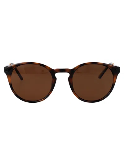 Calvin Klein Jeans Est.1978 Calvin Klein Jeans Dark Tortoise Acetate Sunglasses In Brown