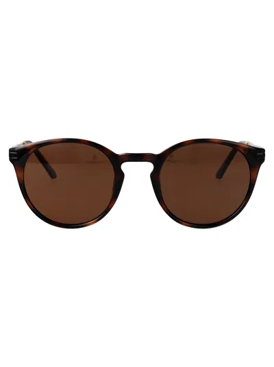 Calvin Klein Jeans Est.1978 Calvin Klein Jeans Dark Tortoise Injected Sunglasses In Purple