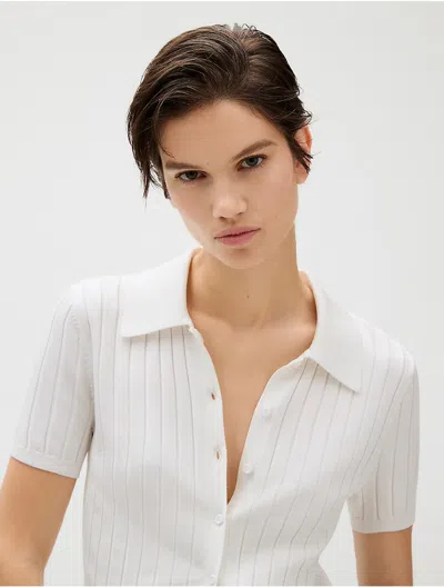 Calvin Klein Jeans Est.1978 Calvin Klein Women's Ribbed Crop Polo Sweater