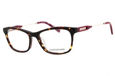 Calvin Klein Jeans Est.1978 Ckj21800 235 Dark Tortoise 51mm In Brown