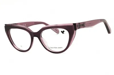 Calvin Klein Jeans Est.1978 Ckj24628 508 Lavander 50mm In Burgundy