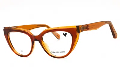 Calvin Klein Jeans Est.1978 Ckj24628 618 Brick/amber 50mm In Neutral