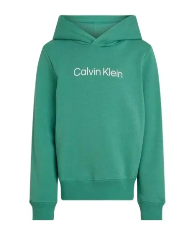 Calvin Klein Jeans Est.1978 Hooded Sweatshirt In Green