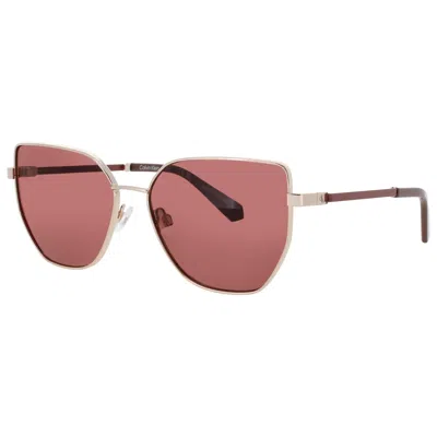 Calvin Klein Jeans Est.1978 Women's Sunglasses
