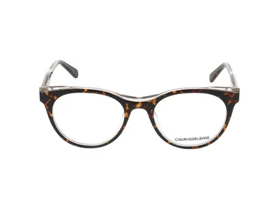 Calvin Klein Jeans Optical In Brown