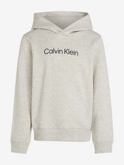 Calvin Klein Kids Logo Regular Terry Hoodie In Gray