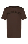 Calvin Klein Kids' Varsity Logo T-shirt In Brown
