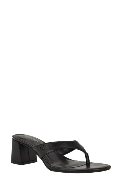 Calvin Klein Locinda Block Heel Sandal In Black