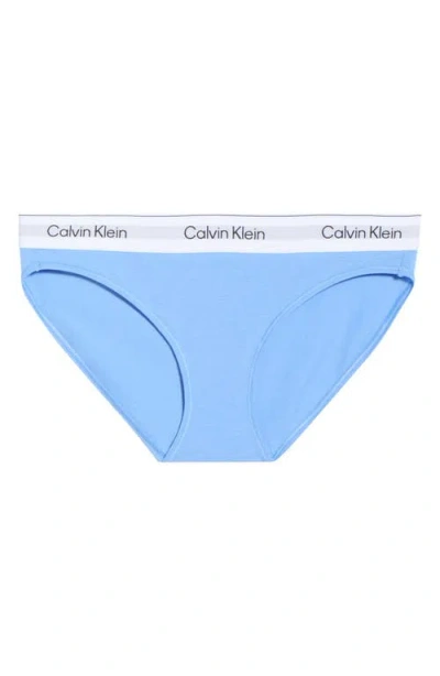 Calvin Klein Logo Bikini In Blue