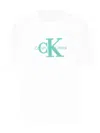 Calvin Klein Logo-embroidered T-shirt In White