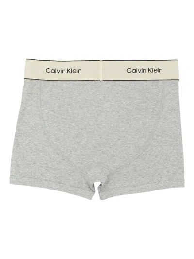 Calvin Klein Logo-print Briefs In Gray