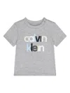 Calvin Klein Logo T-shirt In Gray