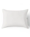 Calvin Klein Medium Density Pillows In White