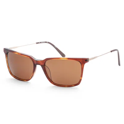 Calvin Klein Men's 56mm Brown Sunglasses