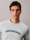 Calvin Klein Men's Arched Logo Graphic Classic T-shirt