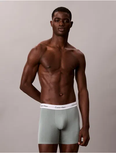 Calvin Klein Men's Icon Cotton Stretch Boxer Brief In Green