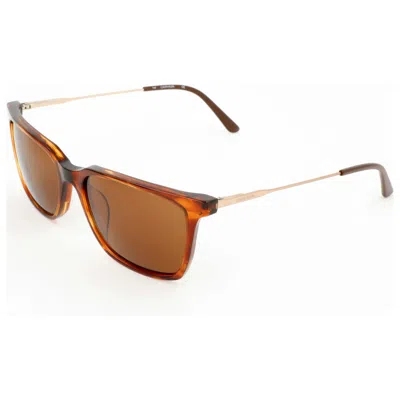 Calvin Klein Men's Sunglasses In Brown