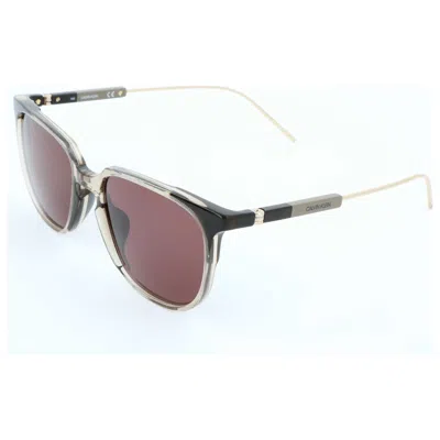 Calvin Klein Men's Sunglasses In Brown