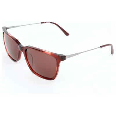 Calvin Klein Men's Sunglasses In Brown
