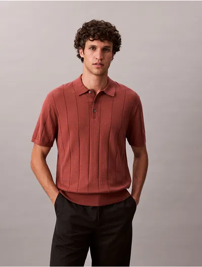 Calvin Klein Men's Wool Cotton Classic Polo Sweater In Brown