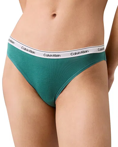 Calvin Klein Modern Logo Bikini