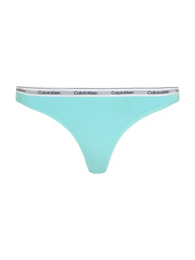 Calvin Klein Modern Logo Thong In Beau Blue