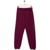 Calvin Klein Performance High Waist Relaxed Sweatpants In Burgundy