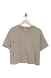 Calvin Klein Performance Puff Print Logo T-shirt In Brown