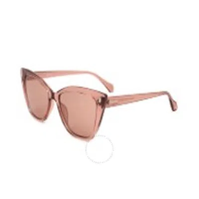 Calvin Klein Pink Cat Eye Ladies Sunglasses Ck22551s 674 55 In Brown