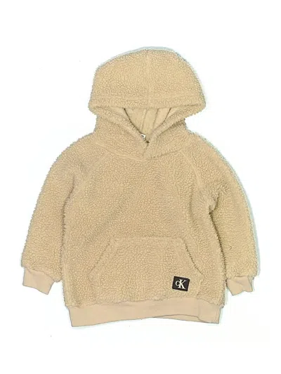 Pre-owned Calvin Klein Kids' Pullover Hoodie In Brown