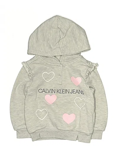 Pre-owned Calvin Klein Kids' Pullover Hoodie In Gray
