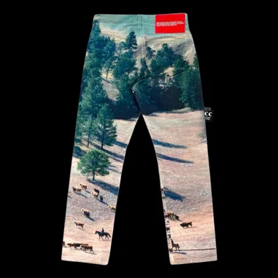Pre-owned Calvin Klein Raf Simons Landscape Ranch Denim Jean 31 32