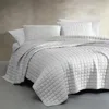 Calvin Klein Reversible Mini Box Quilt Set, Queen