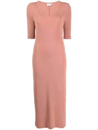 Calvin Klein Ribbed-knit Stretch-modal Dress In Pink